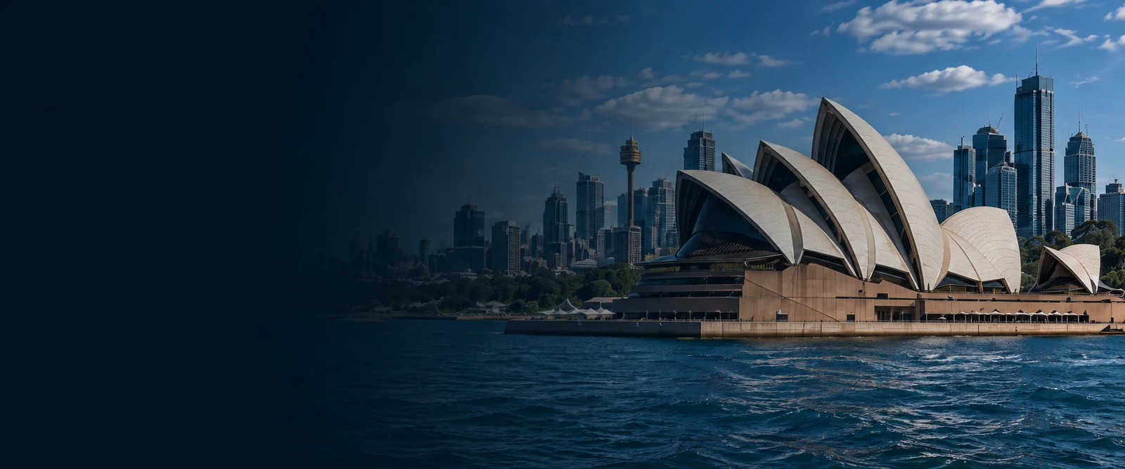 Sydney standard inspection