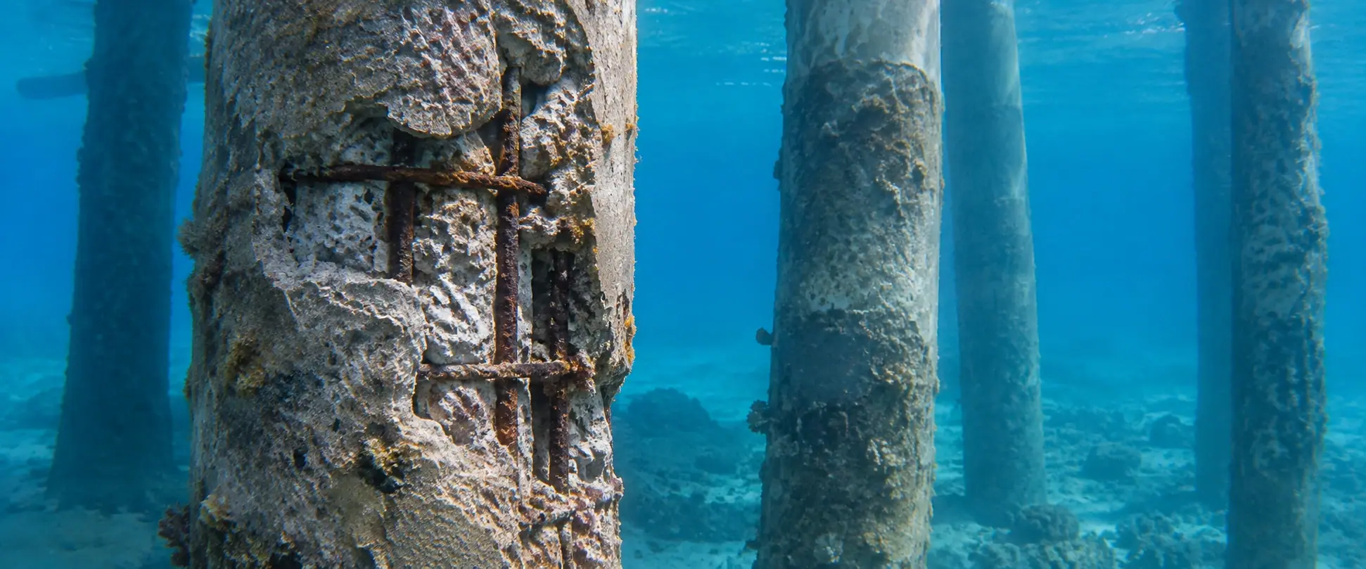Illustrative BEFORE concept: underwater concrete cover loss with exposed corroded reinforcement and marine growth around a submerged wharf support pile.
