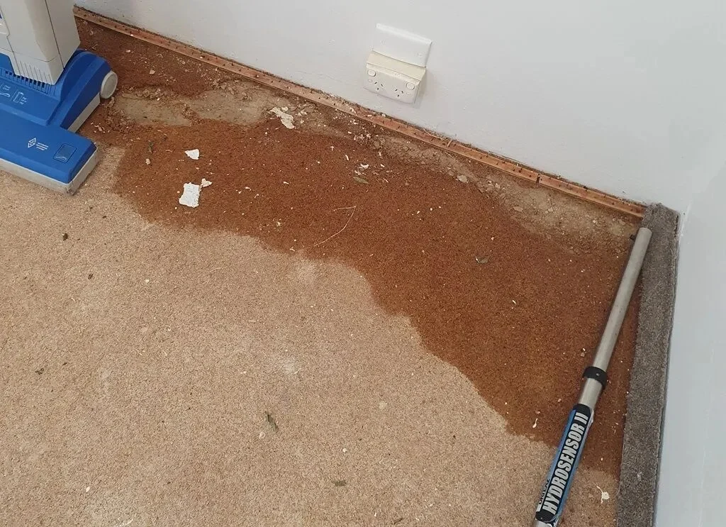 Magnesite Flooring Removal 10 Magnesite Flooring Removal Sydney - Concrete Cancer Repairs Sydney - 2