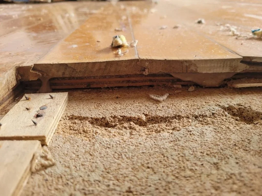 Magnesite Flooring Removal 15 Magnesite Flooring Removal Sydney - Concrete Cancer Repairs Sydney - 1